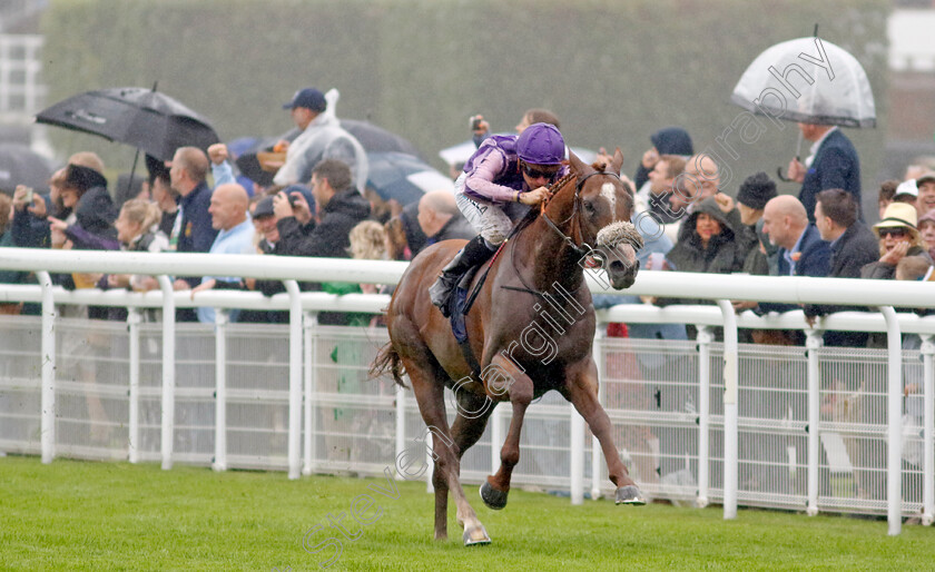 The-Goat-0005 
 THE GOAT (Jason Watson) wins The Coral Handicap
Goodwood 2 Aug 2023 - Pic Steven Cargill / Racingfotos.com