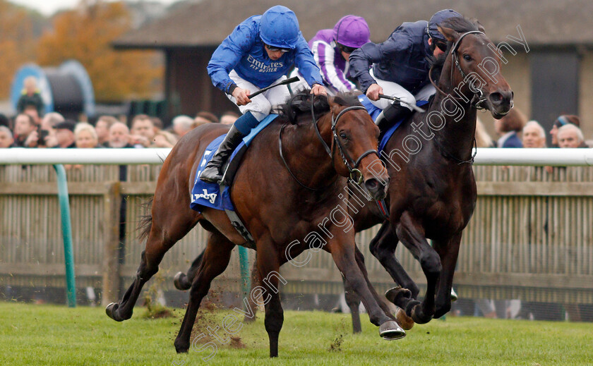 Pinatubo-0006 
 PINATUBO (William Buick) beats ARIZONA (right) in The Darley Dewhurst Stakes
Newmarket 12 Oct 2019 - Pic Steven Cargill / Racingfotos.com