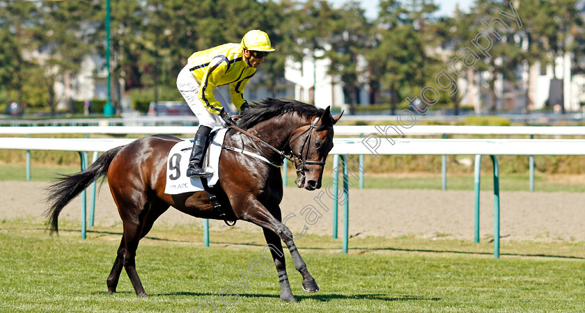 Perfect-Power-0002 
 PERFECT POWER (Christophe Soumillon)
Deauville 7 Aug 2022 - Pic Steven Cargill / Racingfotos.com