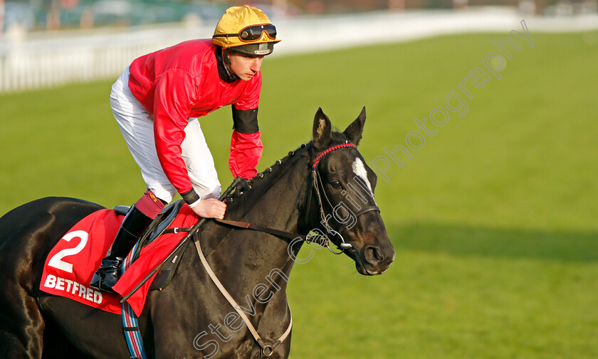 Empress-Ali-0001 
 EMPRESS ALI (James Sullivan) Doncaster 11 Nov 2017 - Pic Steven Cargill / Racingfotos.com