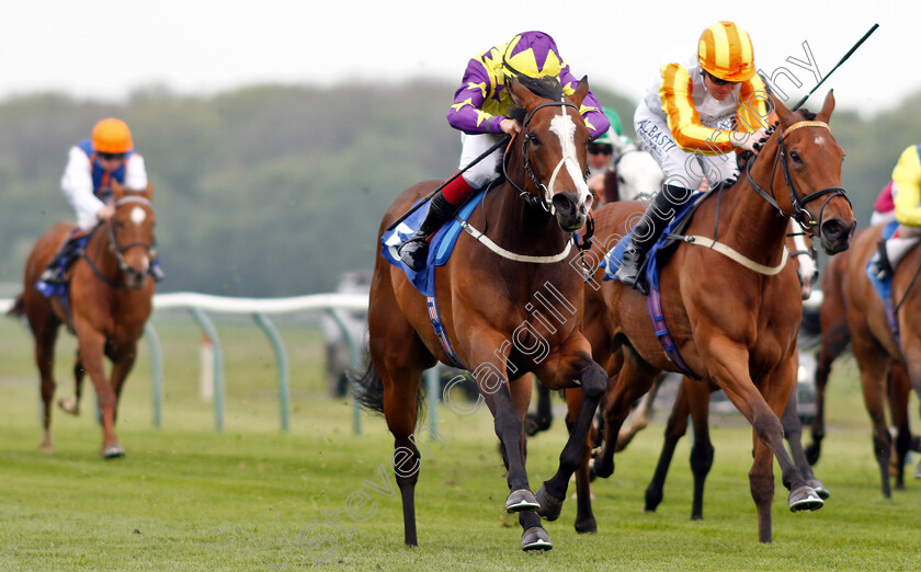 Daddies-Girl-0003 
 DADDIES GIRL (left, Theodore Ladd) beats HATEYA (right) in The British Stallion Studs EBF Fillies Handicap
Nottingham 30 Apr 2019 - Pic Steven Cargill / Racingfotos.com