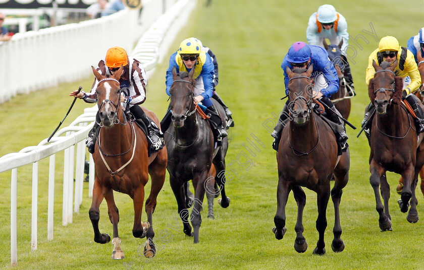 Hyanna-0004 
 HYANNA (left, Georgia Dobie) beats MIGRATION (right) in The Betway Heed Your Hunch Handicap
Sandown 31 Aug 2019 - Pic Steven Cargill / Racingfotos.com