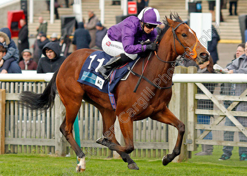 Symphony-Perfect-0007 
 SYMPHONY PERFECT (Hayley Turner) wins The Irish Stallion Farms EBF Bosra Sham Fillies Stakes
Newmarket 29 Oct 2021 - Pic Steven Cargill / Racingfotos.com