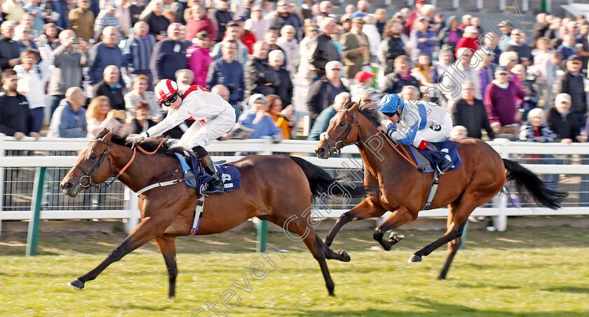 Futuristic-0003 
 FUTURISTIC (Callum Shepherd) wins The Moulton Nurseries Of Acle Novice Stakes
Yarmouth 17 Sep 2019 - Pic Steven Cargill / Racingfotos.com