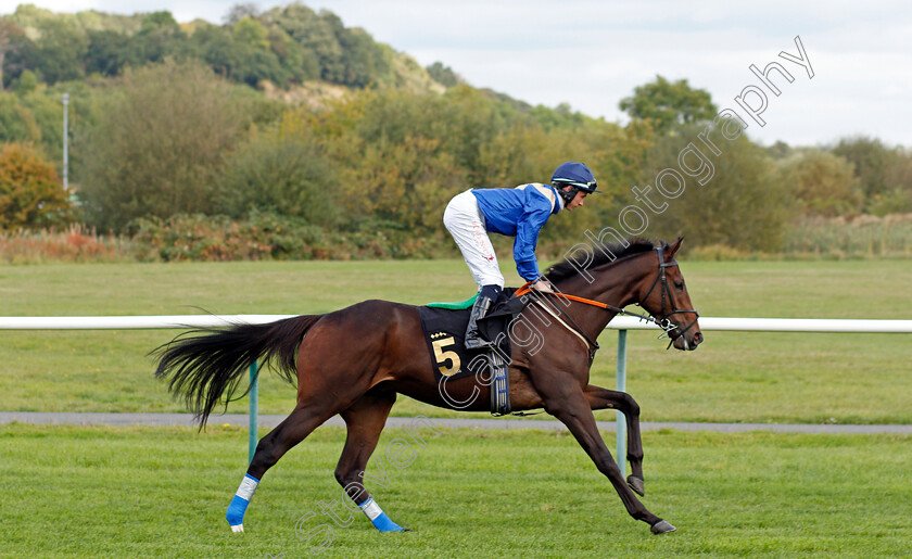 James-Jude 
 JAMES JUDE (Rossa Ryan)
Nottingham 13 Oct 2021 - Pic Steven Cargill / Racingfotos.com