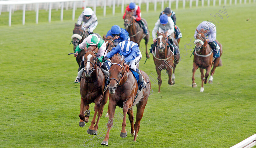 Molatham-0002 
 MOLATHAM (right, Jim Crowley) beats CELTIC ART (left) in The British Stallion Studs EBF Convivial Maiden Stakes
York 23 Aug 2019 - Pic Steven Cargill / Racingfotos.com