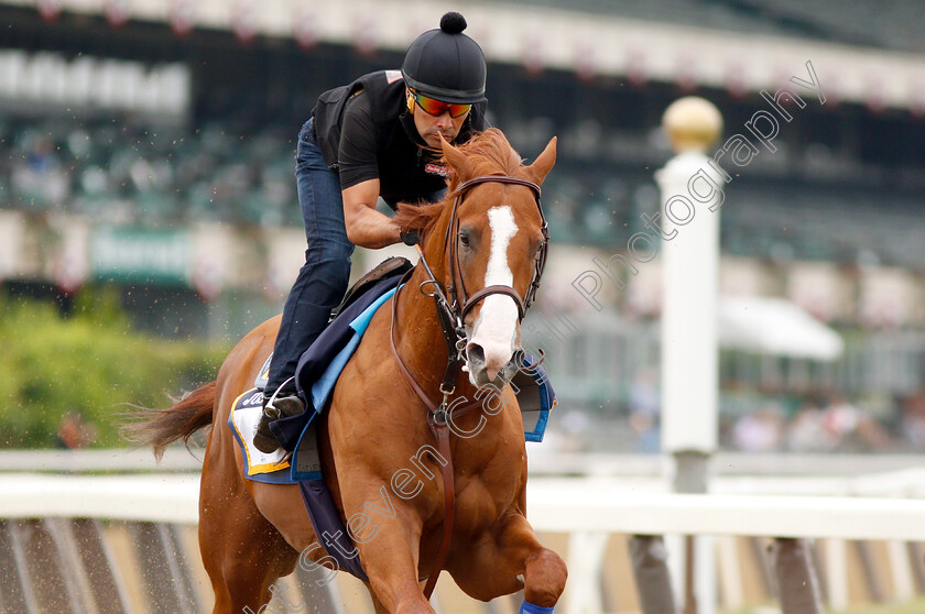 Justify-0012 
 JUSTIFY (Martine Garcia) exercising in preparation for The Belmont Stakes
Belmont Park USA 7 Jun 2018 - Pic Steven Cargill / Racingfotos.com