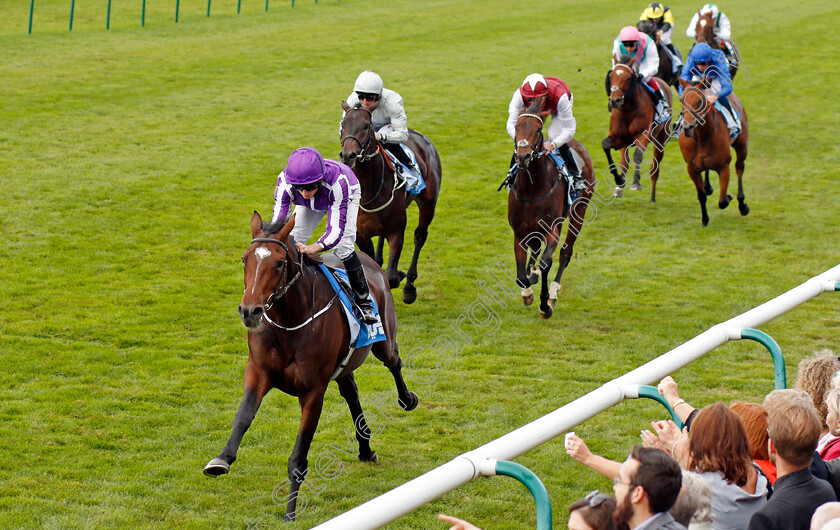 Kew-Gardens-0005 
 KEW GARDENS (Ryan Moore) wins The GHodolphin Flying Start Zetland Stakes Newmarket 14 Oct 2017 - Pic Steven Cargill / Racingfotos.com