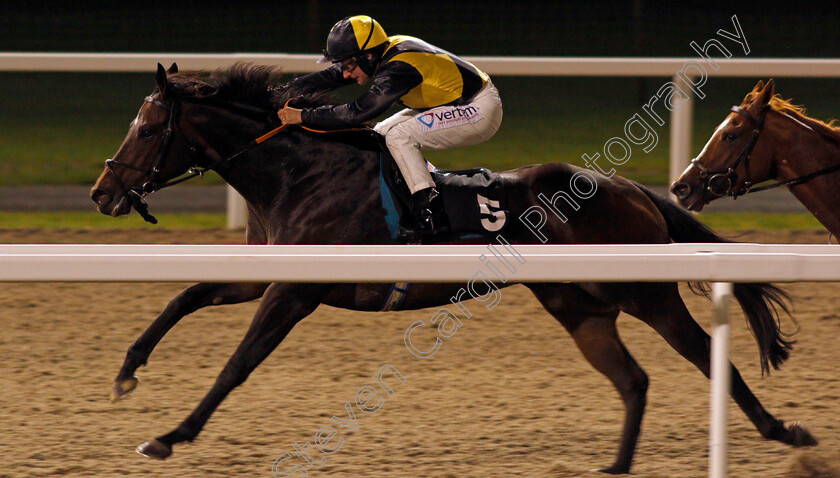 Human-Nature-0002 
 HUMAN NATURE (P J McDonald) wins The Extra Places At totesport.com Handicap
Chelmsford 24 Oct 2019 - Pic Steven Cargill / Racingfotos.com