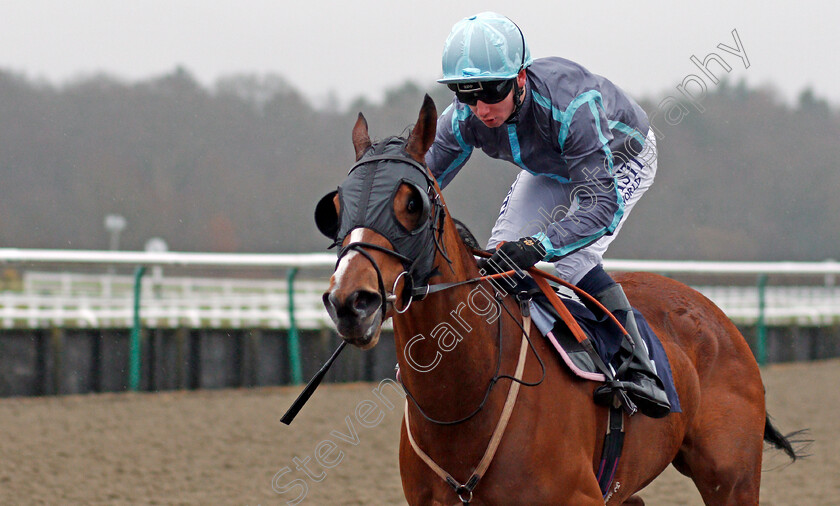 Poetic-Imagination-0002 
 POETIC IMAGINATION (Oisin Murphy) wins The 32Red.com Handicap Lingfield 14 Feb 2018 - Pic Steven Cargill / Racingfotos.com