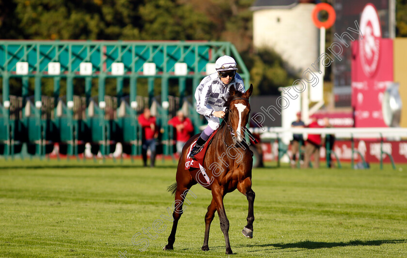 Lily-Hart-0002 
 LILY HART (Yutake Take)
Longchamp 5 Oct 2034 - Pic Steven Cargill / Racingfotos.com