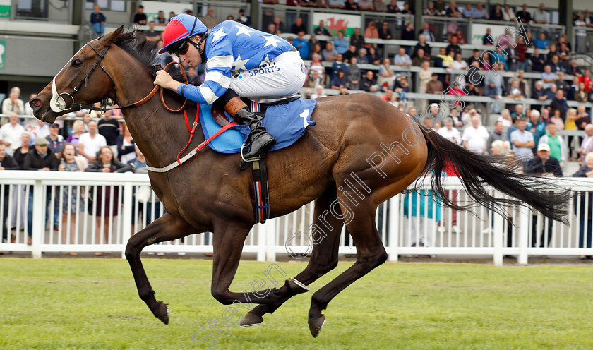 Sweet-Pursuit-0007 
 SWEET PURSUIT (Finley Marsh) wins The Sky Sports Racing Launching In 2019 Fillies Handicap
Ffos Las 14 Aug 2018 - Pic Steven Cargill / Racingfotos.com