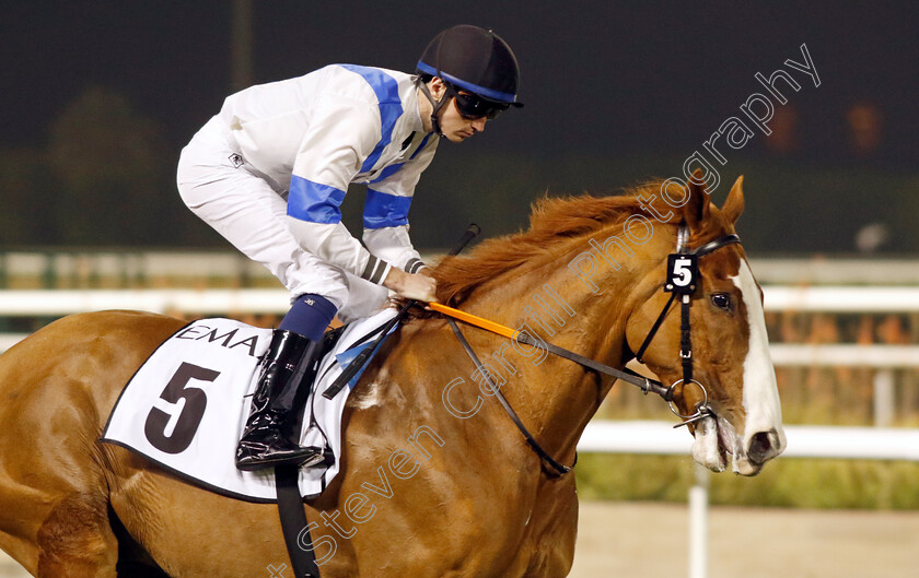 Freescape-0001 
 FREESCAPE (Oisin Orr)
Meydan 3 Feb 2023 - Pic Steven Cargill / Racingfotos.com