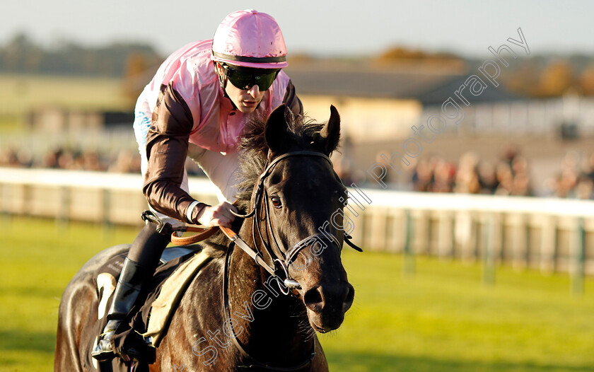 I-Am-I-Said-0001 
 I AM I SAID (Richard Kingscote) wins The British Stallion Studs EBF Future Stayers Novice Stakes
Newmarket 23 Oct 2024 - Pic Steven Cargill / Racingfotos.com