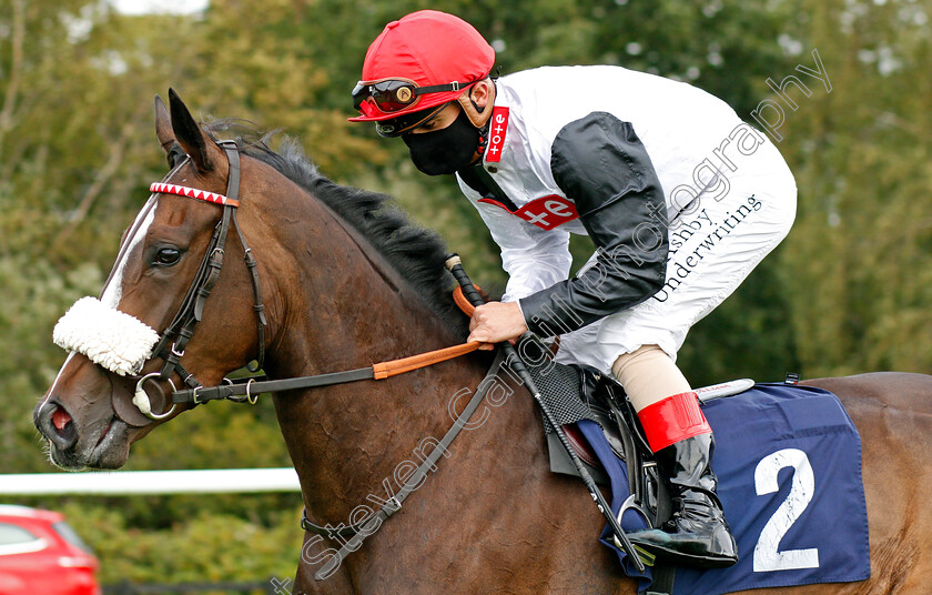 Little-Becky-0001 
 LITTLE BECKY (Andrea Atzeni)
Lingfield 2 Sep 2020 - Pic Steven Cargill / Racingfotos.com