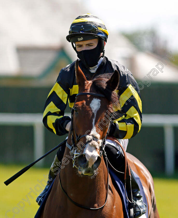 Never-0001 
 NEVER (Dylan Hogan)
Yarmouth 9 Jun 2021 - Pic Steven Cargill / Racingfotos.com