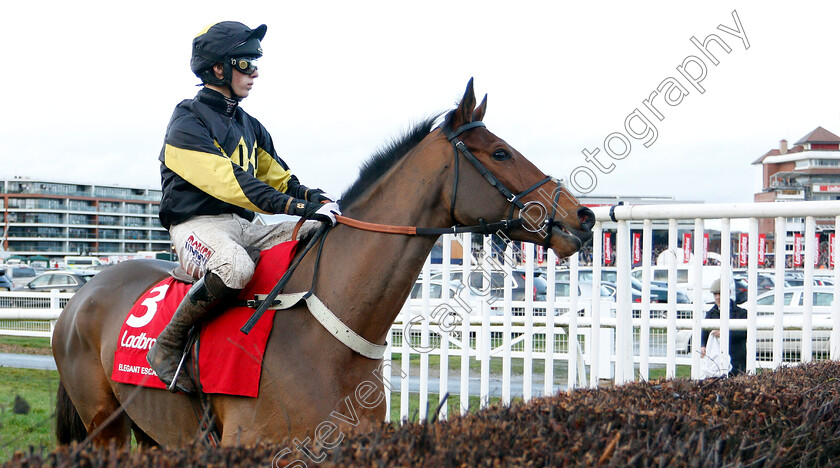 Elegant-Escape-0001 
 ELEGANT ESCAPE (Harry Cobden)
Newbury 1 Dec 2018 - Pic Steven Cargill / Racingfotos.com