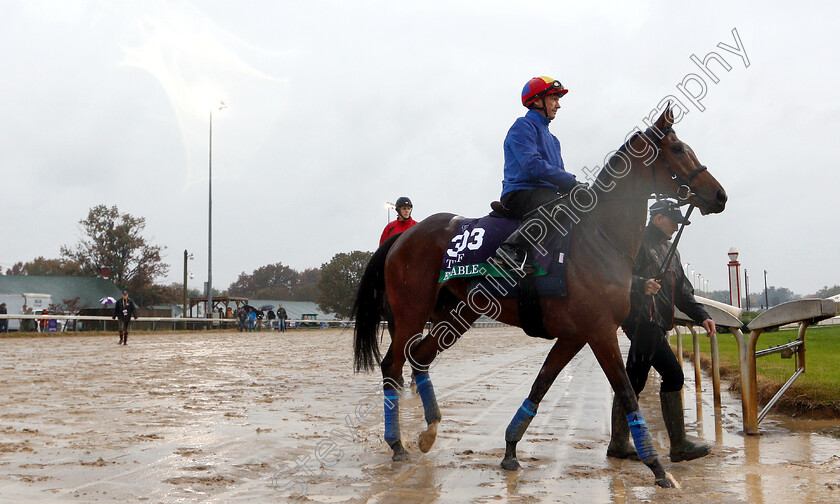 Enable-0004 
 ENABLE (Frankie Dettori) exercising ahead of The Breeders Cup Turf
Churchill Downs USA 1 Nov 2018 - Pic Steven Cargill / Racingfotos.com