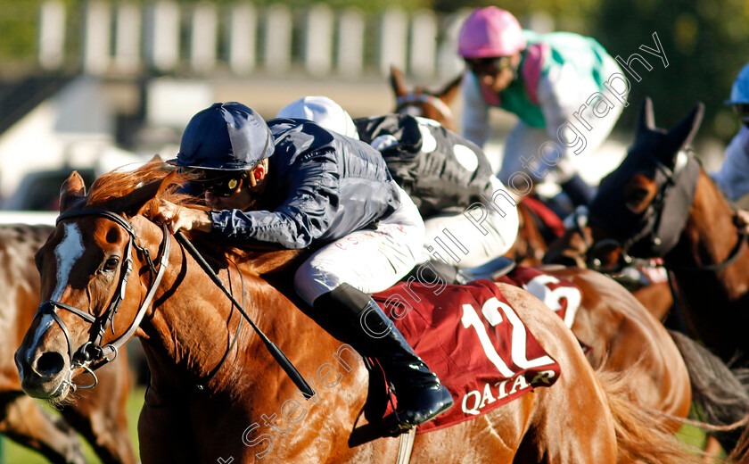 Grateful-0004 
 GRATEFUL (Christophe Soumillon) wins The Qatar Prix de Royallieu 
Longchamp 5 Oct 2024 - Pic Steven Cargill / Racingfotos.com