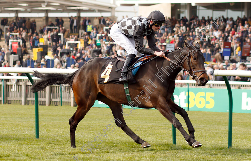 Lavender s-Blue-0006 
 LAVENDER'S BLUE (Robert Havlin) wins The bet365 EBF Fillies Maiden Stakes Div2
Newmarket 16 Apr 2019 - Pic Steven Cargill / Racingfotos.com