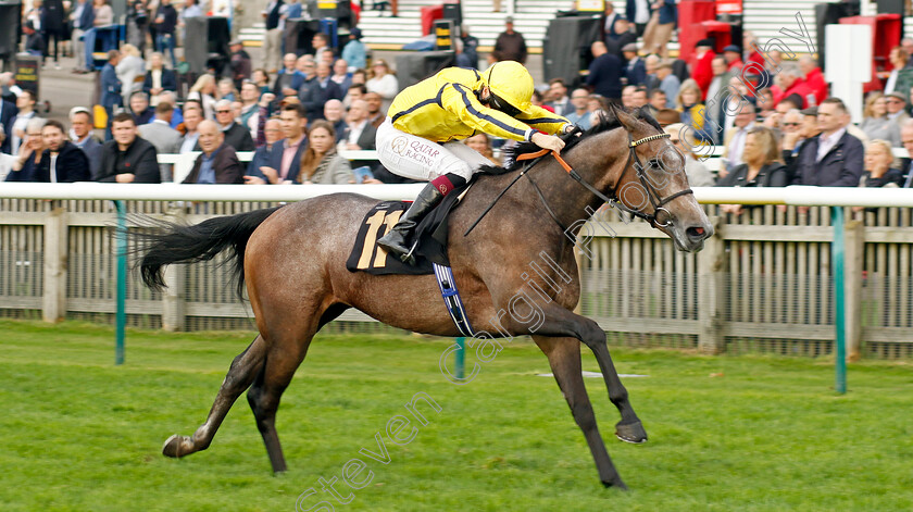 Orchid-Bloom-0002 
 ORCHID BLOOM (Cieren Fallon) wins The British Stallion Studs EBF Fillies Novice Stakes Div2
Newmarket 29 Oct 2022 - Pic Steven Cargill / Racingfotos.com