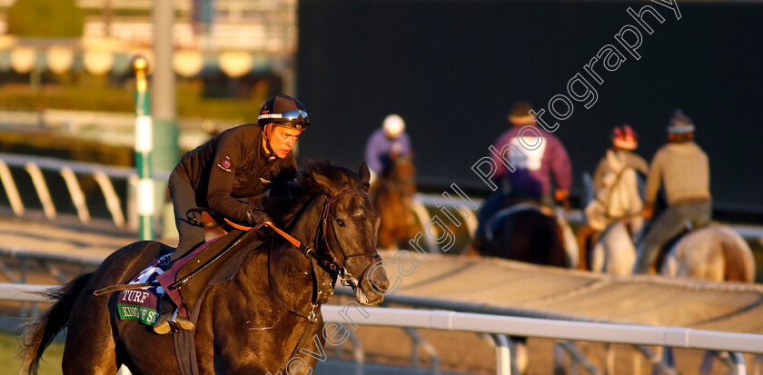 King-Of-Steel-0006 
 KING OF STEEL training for The Breeders' Cup Turf
Santa Anita 2 Nov 2023 - Pic Steven Cargill / Racingfotos.com