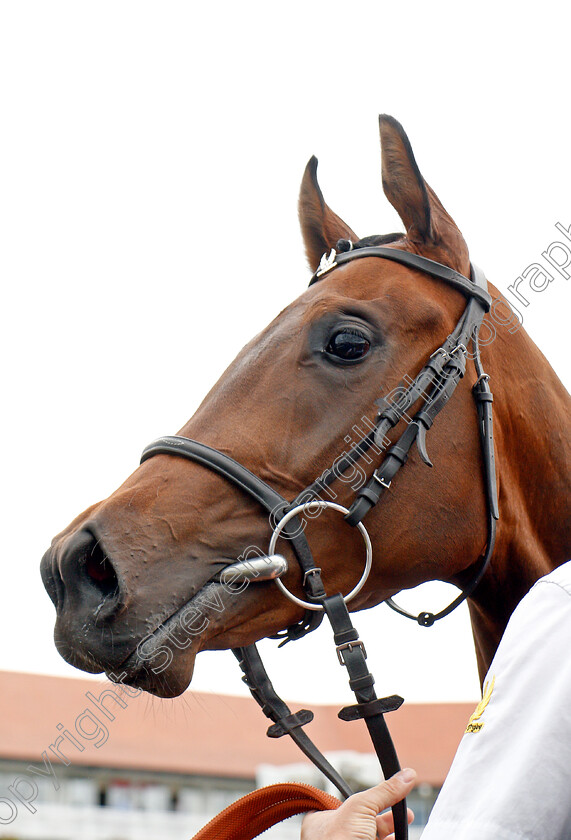 No-Lippy-0004 
 NO LIPPY after The Stellar Group Lily Agnes Stakes Chester 9 May 2018 - Pic Steven Cargill / Racingfotos.com