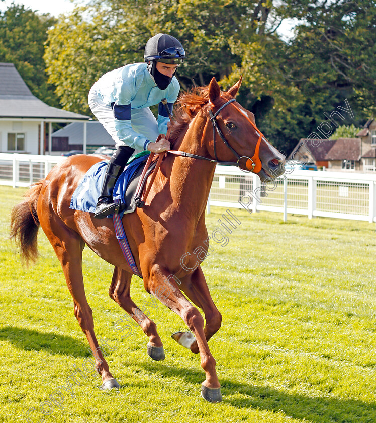 Cirrus-0002 
 CIRRUS (Rossa Ryan)
Pic Steven Cargill / Racingfotos.com