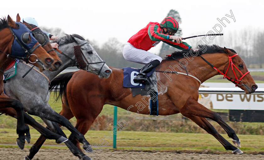 Easy-Tiger-0009 
 EASY TIGER (Liam Keniry) wins The Betway Handicap Lingfield 6 Jan 2018 - Pic Steven Cargill / Racingfotos.com