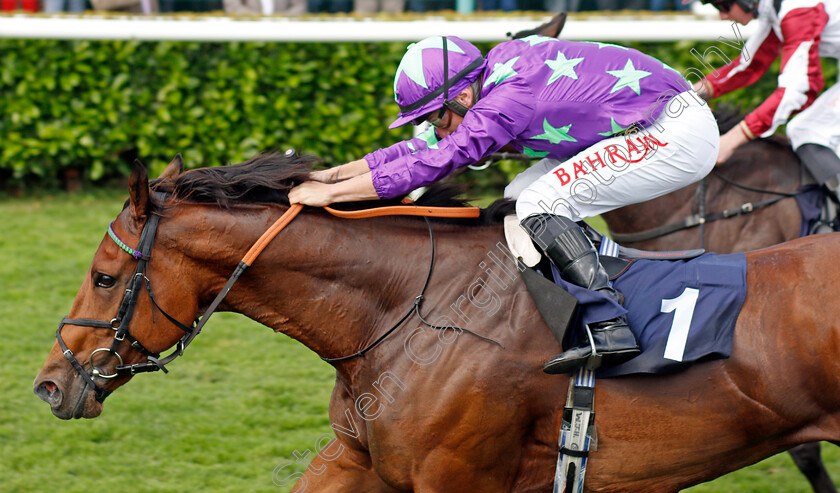 Hurricane-Ivor-0005 
 HURRICANE IVOR (Tom Marquand) wins The Portland Handicap
Doncaster 11 Sep 2021 - Pic Steven Cargill / Racingfotos.com