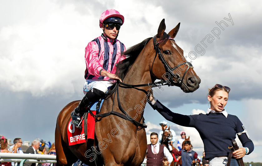 Sweet-Memories-0001 
 SWEET MEMORIES (Kieran Shoemark)
Doncaster 12 Sep 20234 - Pic Steven Cargill / Racingfotos.com