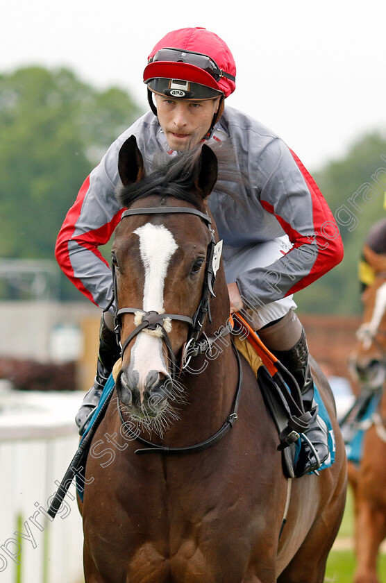 Ticktyboo-0001 
 TICKTYBOO (Rowan Scott)
York 18 May 2023 - Pic Steven Cargill / Racingfotos.com