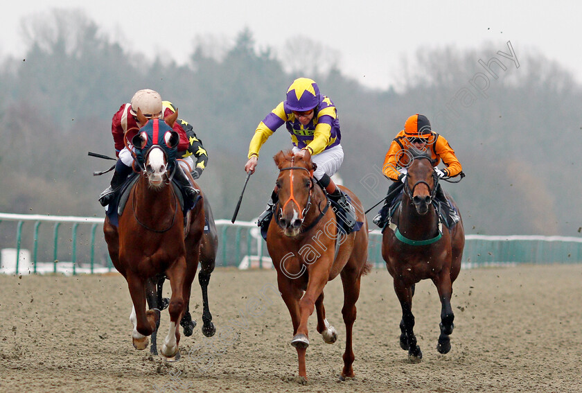 Motown-Mick-0003 
 MOTOWN MICK (centre, Timmy Murphy) beats ROSEAU CITY (left) inThe 32Red.com Nursery Lingfield 20 Dec 2017 - Pic Steven Cargill / Racingfotos.com