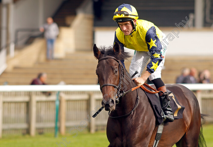 Cracker-Star-0001 
 CRACKER STAR (Finley Marsh)
Newmarket 28 Sep 2023 - Pic Steven Cargill / Racingfotos.com