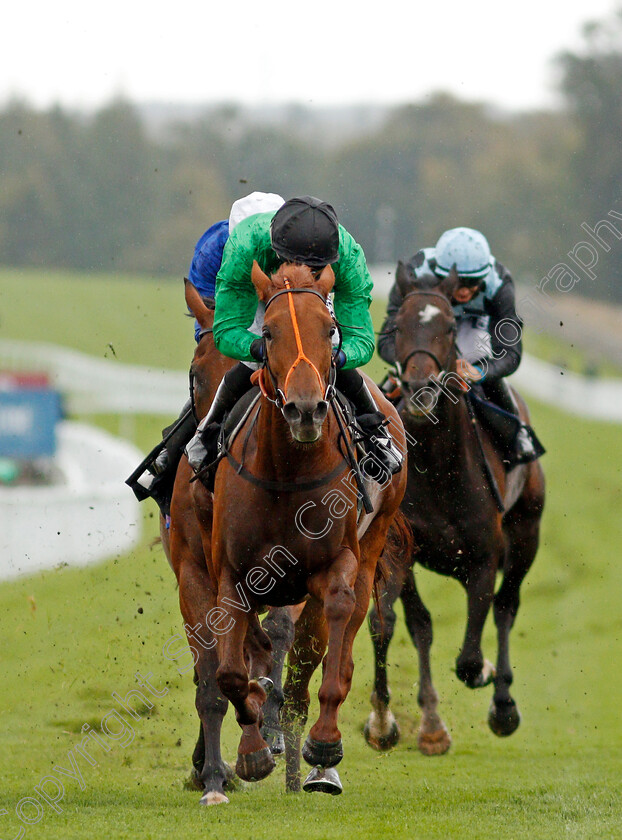 Anna-Nerium-0005 
 ANNA NERIUM (Sean Levey) wins The Tote Foundation Stakes
Goodwood 23 Sep 2020 - Pic Steven Cargill / Racingfotos.com