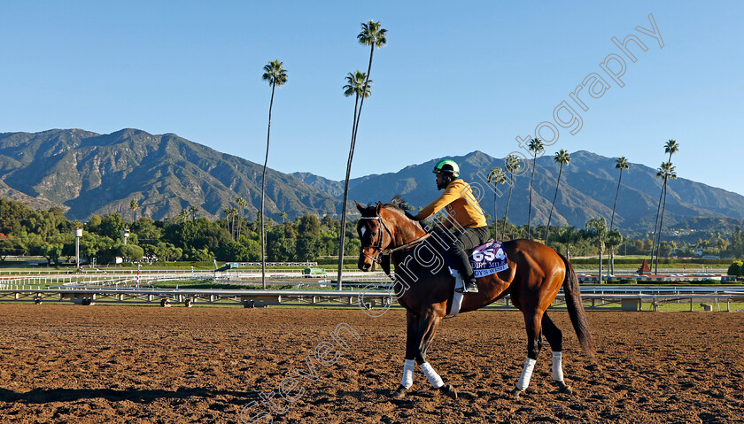 Cody s-Wish-0002 
 CODY'S WISH training for The Breeders' Cup Dirt Mile
Santa Anita USA, 31 October 2023 - Pic Steven Cargill / Racingfotos.com