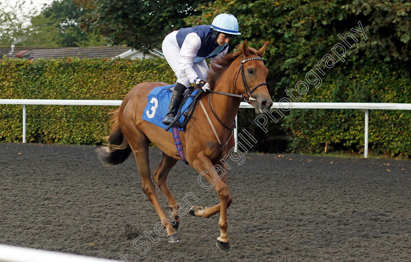 Dolce-Vitta-0001 
 DOLCE VITTA (Georgia Dobie)
Kempton 6 Sep 2024 - Pic Steven Cargill / Racingfotos.com