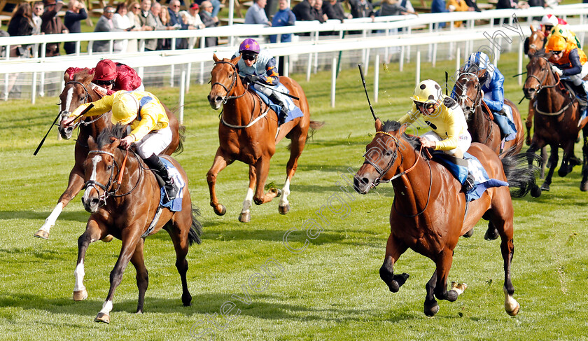 Reverend-Jacobs-0002 
 REVEREND JACOBS (left, James Doyle) beats ZEELANDER (right) in The Oaks Farm Stables Handicap York 16 May 2018 - Pic Steven Cargill / Racingfotos.com