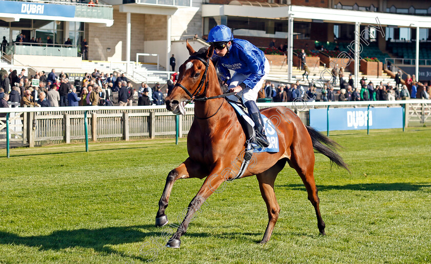 Verse-Of-Love-0006 
 VERSE OF LOVE (William Buick) winner of The Godolphin Under Starters Orders Maiden Fillies Stakes
Newmarket 11 Oct 2024 - pic Steven Cargill / Racingfotos.com