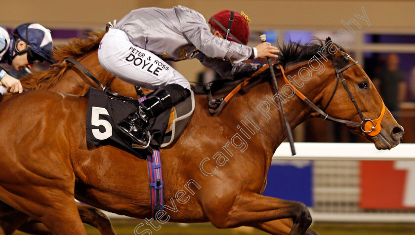 Mushtaq-0008 
 MUSHTAQ (Tom Marquand) wins The Bet toteJackpot At betfred.com EBF Novice Stakes Chelmsford 7 Dec 2017 - Pic Steven Cargill / Racingfotos.com