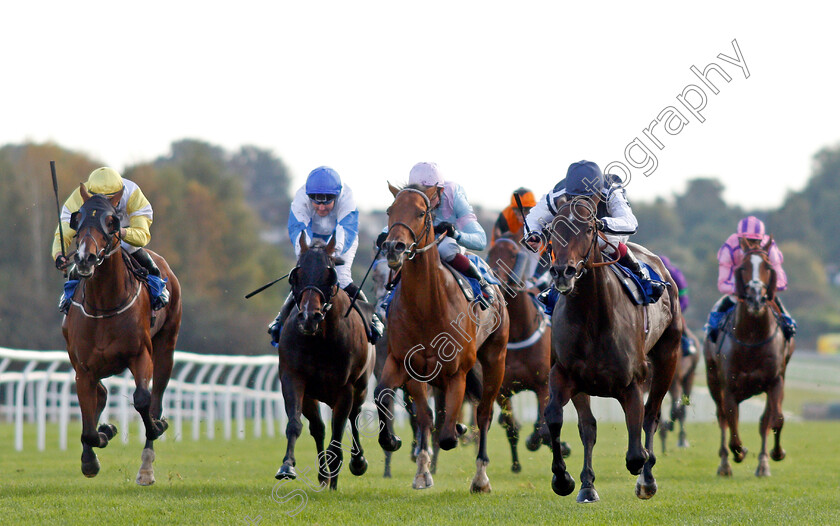 Able-Kane-0001 
 ABLE KANE (right, Oisin Murphy) beats TOMFRE (2nd right) and WOBWOBWOB (left) in The Every Race Live On Racing TV Handicap 
Leicester 12 Oct 2021 - Pic Steven Cargill / Racingfotos.com