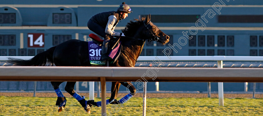 Mostahdaf-0007 
 MOSTAHDAF training for The Breeders' Cup Turf
Santa Anita USA, 31 October 2023 - Pic Steven Cargill / Racingfotos.com