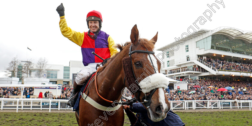 Native-River-0011 
 NATIVE RIVER (Richard Johnson) after The Timico Cheltenham Gold Cup Cheltenham 16 mar 2018 - Pic Steven Cargill / Racingfotos.com