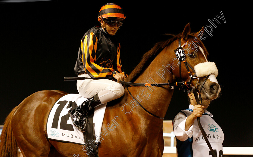 Rayig-0001 
 RAYIG (Ronan Whelan)
Meydan 10 Jan 2019 - Pic Steven Cargill / Racingfotos.com