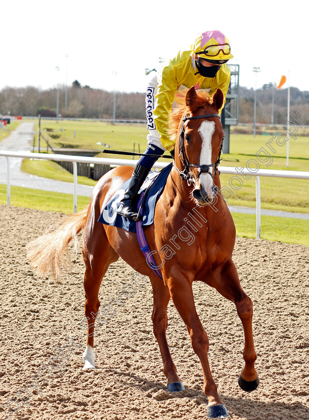 Aussie-Rascal-0001 
 AUSSIE RASCAL (David Probert)
Wolverhampton 13 Mar 2021 - Pic Steven Cargill / Racingfotos.com