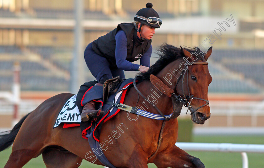 Enemy-0003 
 ENEMY exercising for trainer Ian Williams
Meydan, Dubai, 3 Feb 2022 - Pic Steven Cargill / Racingfotos.com