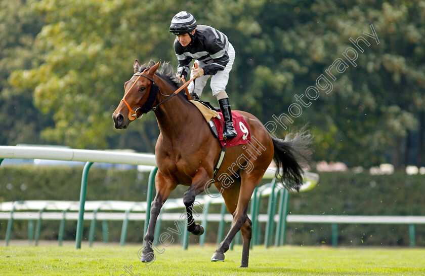 Juliana-Popjoy-0001 
 JULIANA POPJOY (Kieran O'Neill)
Haydock 2 Sep 2022 - Pic Steven Cargill / Racingfotos.com