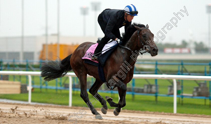 Jahbath-0005 
 JAHBATH (Jim Crowley) training for The UAE Derby
Meydan 28 Mar 2019 - Pic Steven Cargill / Racingfotos.com