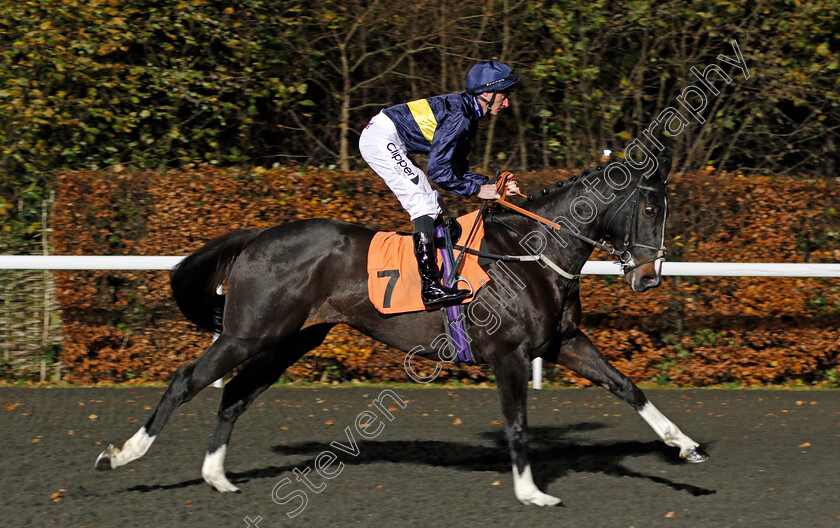 So-Beloved-0001 
 SO BELOVED (Daniel Tudhope) Kempton 22 Nov 2017 - Pic Steven Cargill / Racingfotos.com