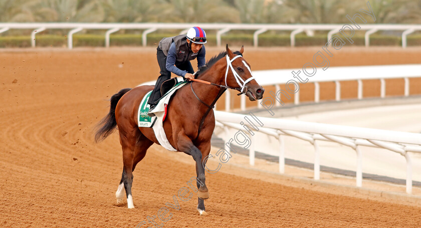 Isolate-0001 
 ISOLATE training for The Saudi Cup
King Abdulaziz Racetrack, Saudi Arabia 22 Feb 2024 - Pic Steven Cargill / Racingfotos.com